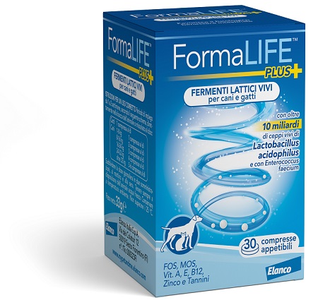 FORMALIFE PLUS FERMENTI LATTICI VIVI 30 COMPRESSE APPETIBILI - doctorpill.it